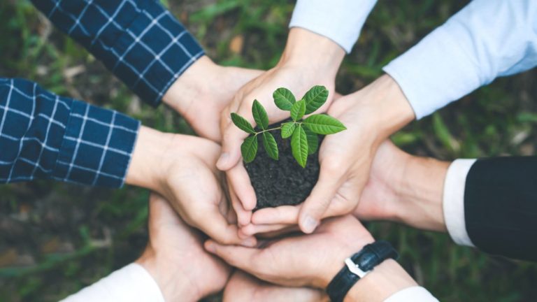 ¿Qué es la educación ambiental?